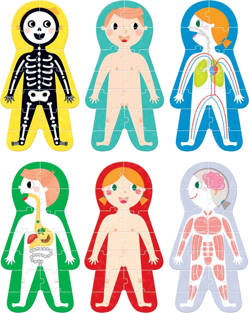 Banana Panda Supergrote Puzzel Mijn Lichaam 3+ 2 Banana Panda Supergrote Puzzel Mijn Lichaam 3+ – Bild 2