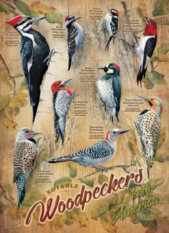 Cobble Hill Puzzle 500 Teile - Woodpeckers