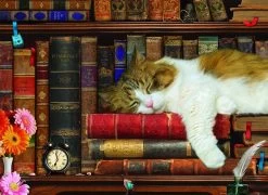 Eurographics Puzzle The Cat Nap - 500 XL Teile