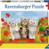 Ravensburger Katzen Auf Entdeckungsreise