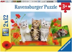 Ravensburger Katzen Auf Entdeckungsreise