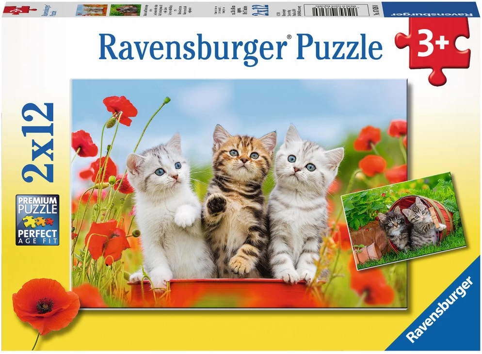 Ravensburger Katzen Auf Entdeckungsreise 1 Ravensburger Katzen Auf Entdeckungsreise