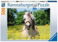 Ravensburger Pferd Im Rapsfeld
