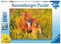 Ravensburger Shetlandponys