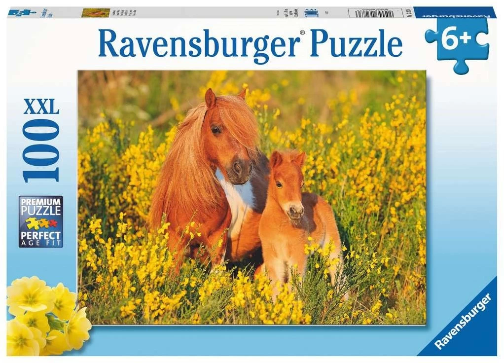 Ravensburger Shetlandponys 1 Ravensburger Shetlandponys