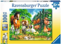 Ravensburger Versammlung Der Tiere