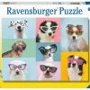 Ravensburger Witzige Hunde