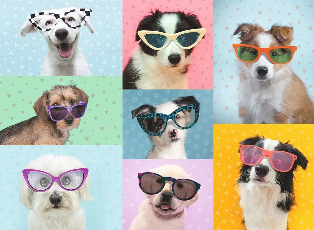 Ravensburger Witzige Hunde 2 Ravensburger Witzige Hunde – Bild 2